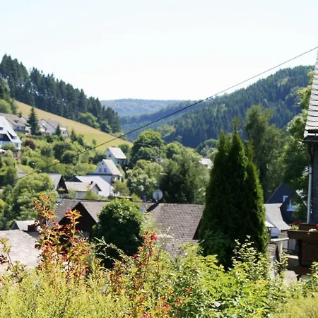 Apartment Am Iberg I *