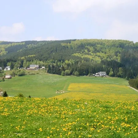 Apartment Am Iberg I