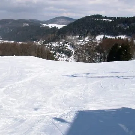 Am Iberg I Apartment Willingen (Upland)