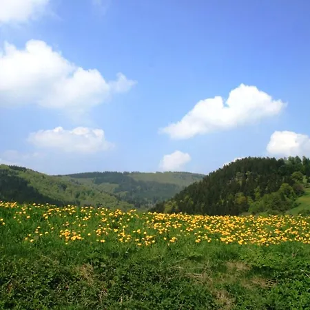 Am Iberg I Willingen (Upland)